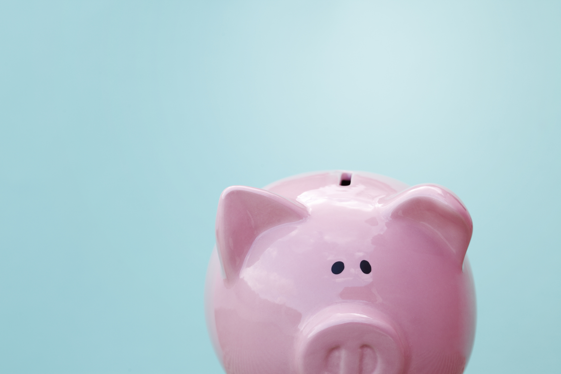 Close up of piggy bank on green background Close up of piggy bank on blue background